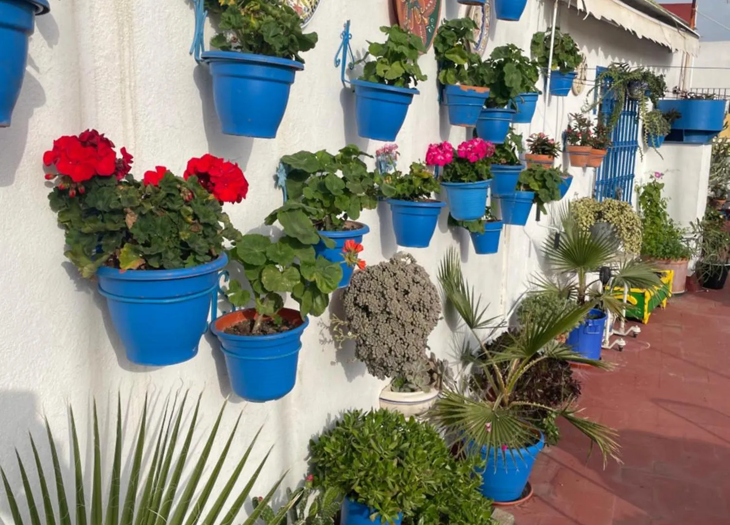 Arco Macarena Apartment Seville